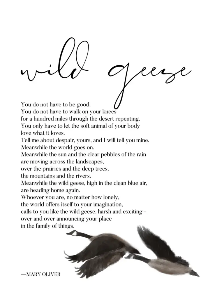 Wild Geese